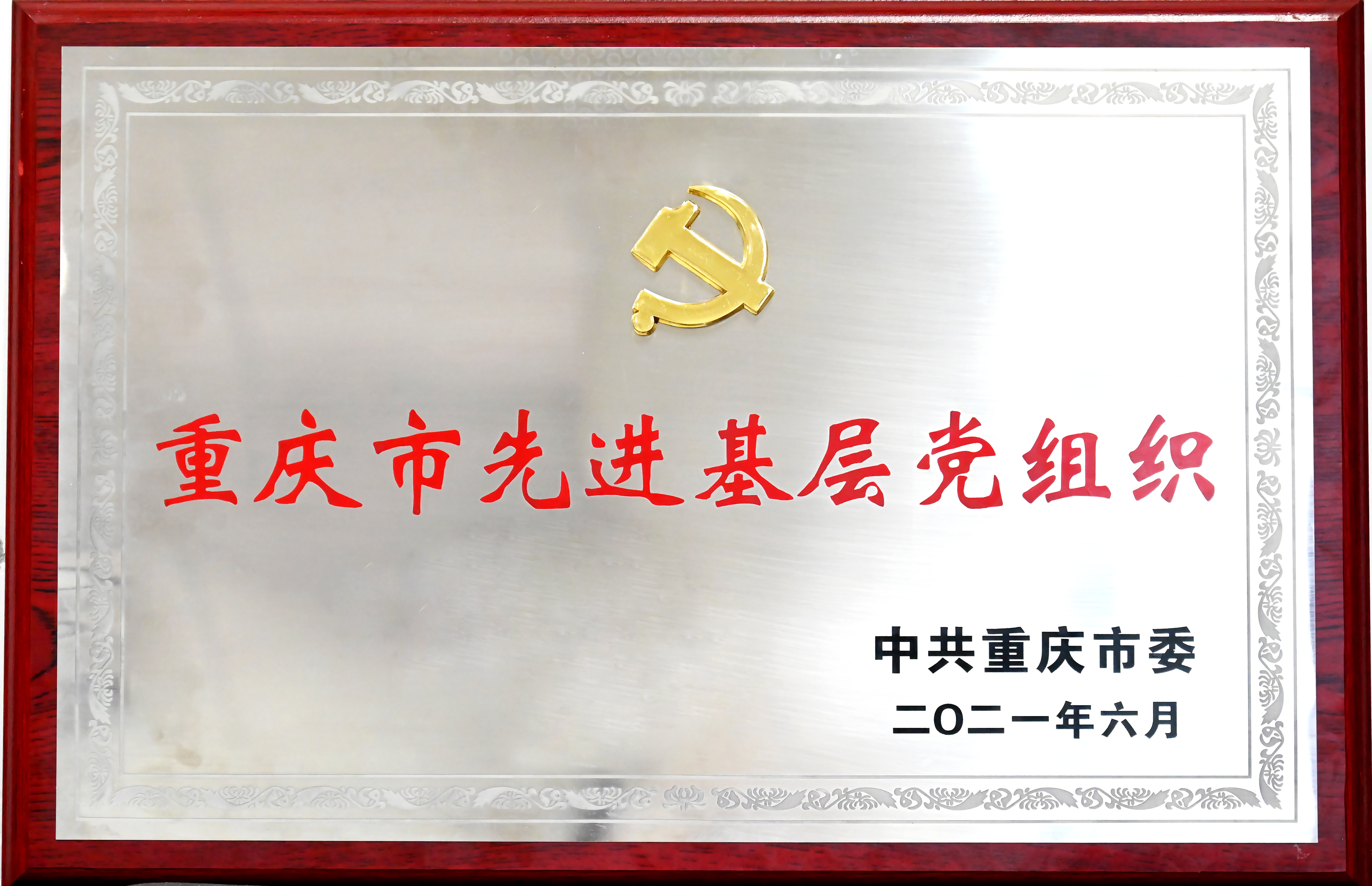 重庆市先进党组织牌匾_副本.jpg